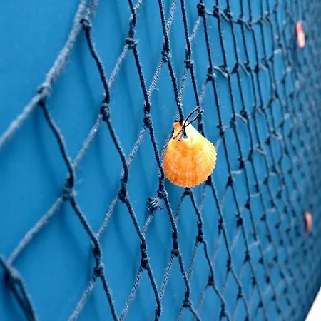 住宿加早餐酒店 I 100 Passi