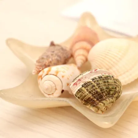 Bed & Breakfast I 100 Passi 3*