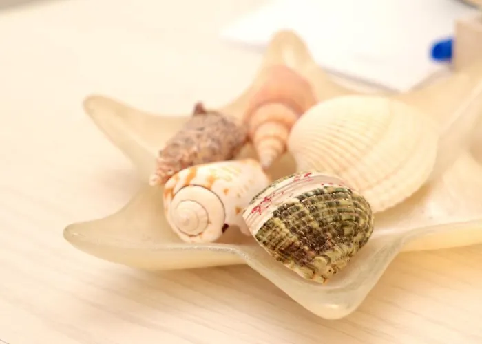 住宿加早餐酒店 I 100 Passi 3*